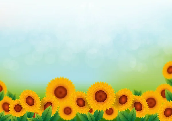 Realistic Blurred Spring Background Sunflower Blurred Background — Stock Vector