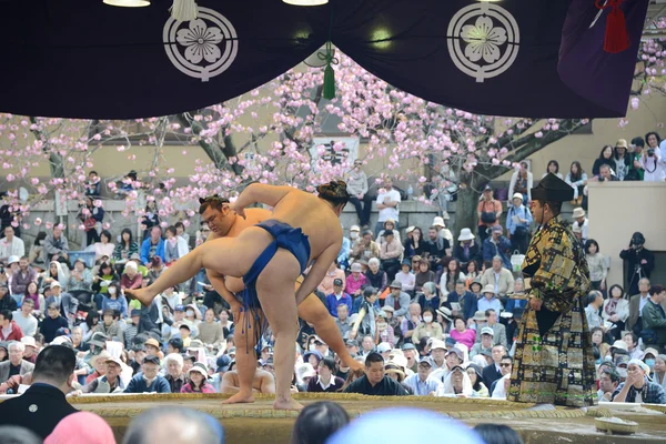 Dwóch zawodników sumo — Zdjęcie stockowe