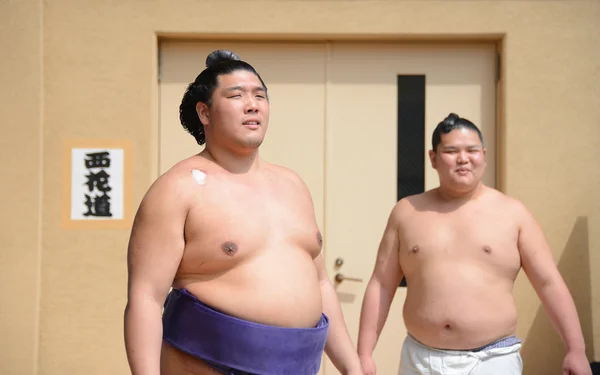 Unidentified Sumo wrestlers — Stock Photo, Image