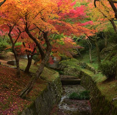 Japon Bahçesi
