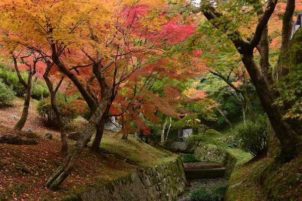 Jardín japonés —  Fotos de Stock