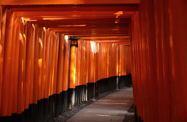 Portas Torii em Kyoto, Japão . — Fotografia de Stock