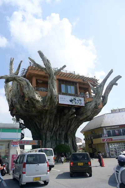 Naha Harbor Diner - Banyan Treehouse Restaurant — Stockfoto