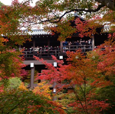 sezon seyahat Mino kişi ziyaret