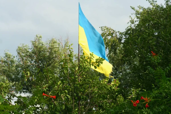 Bandera Ucrania Patio Una Casa Rural — Foto de Stock