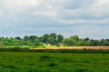 Arka planda ayçiçeği tarlası olan kırsal alan