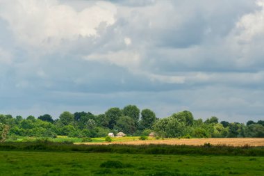 Arka planda ayçiçeği tarlası olan kırsal alan