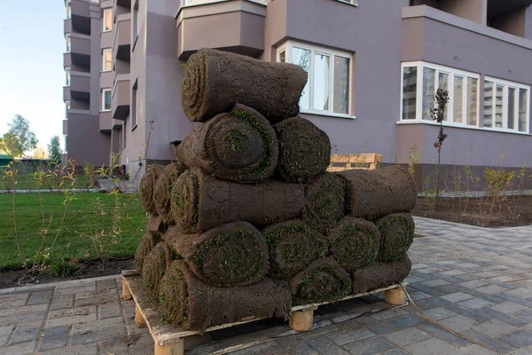 Laying Rolls Green Grass Lawns Construction Site Production Apartments Social — Stock Photo, Image