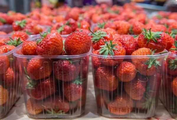 Verse aardbeien in de supermarkt — Stockfoto