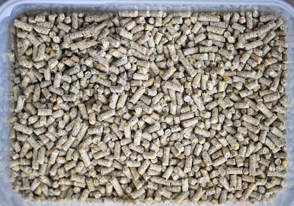 Pellet feed soybean and sunflower — Stock Photo, Image