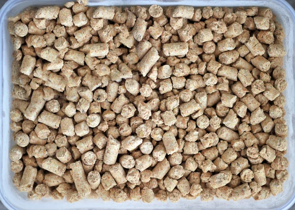 Pellet feed soybean meal — Stock Photo, Image
