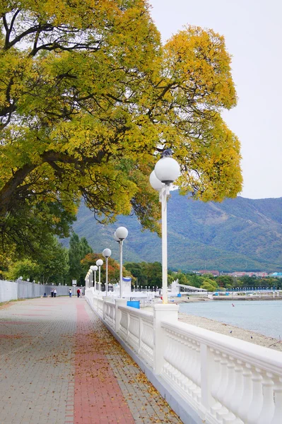 Outono. Gelendzhik. — Fotografia de Stock