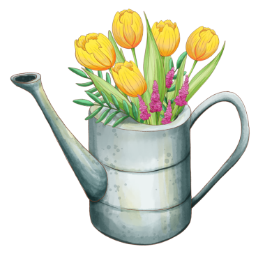 Sarı laleler ve mor çiçekler izole edilmiş suluboya kutuları. Parlak sarı lalelerle dolu metal gri bir sulama kutusunun elle boyanmış sulu boya çizimi, mor çiçekler.