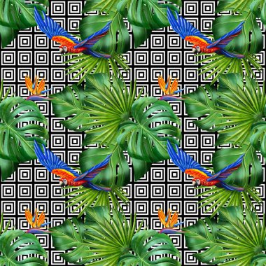 Renkli papağanları olan kusursuz geometrik ızgara canavar yaprakları ve benekli desenler. Uçuşta canlı papağanlar, canavar yaprakları ve siyah-beyaz geometrik şebeke arka planında ince noktalar içeren yüksek çözünürlüklü tekrarlayan desen.