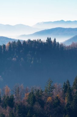 Slovenya 'nın uzak tepelerinde sisli vadileri ve tepeleri olan karışık ormanların güzel manzarası. Turizm, yürüyüş, doğa, çevre ve ormancılık kavramları.