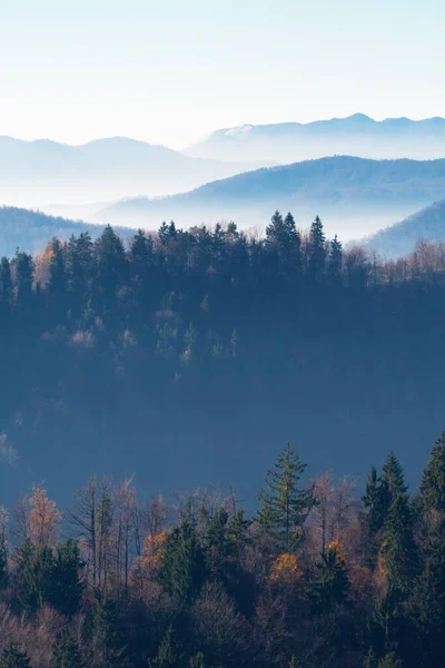 スロベニアの距離に霧の谷や丘と混合林の木々の美しい景色 ハイキング 林業の概念 — ストック写真