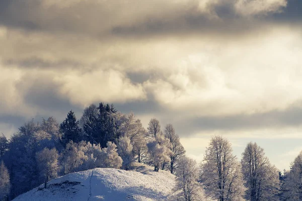 Gyönyörű Idilli Téli Jelenet Dombtetőn Hóval Borított Fák Gyalogút Meleg — Stock Fotó