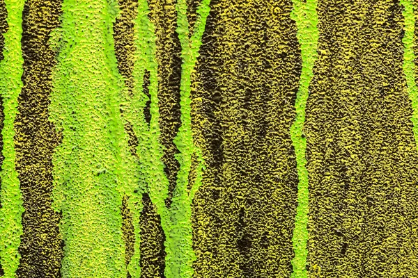 Streifen in hellgrünen und goldenen Farben an der Wand — Stockfoto