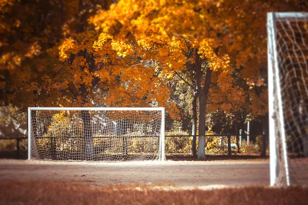 Fußball im Herbst Stockbild