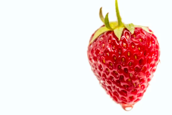 Strawberry on white background — Stock Photo, Image