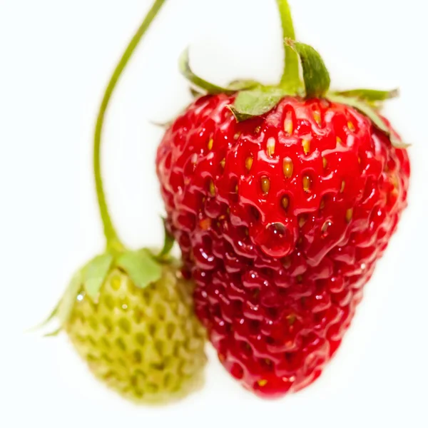 Strawberry on white background — Stock Photo, Image