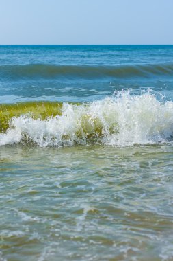 Sahildeki deniz dalgaları