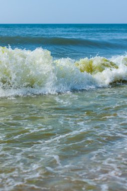 Sahildeki deniz dalgaları
