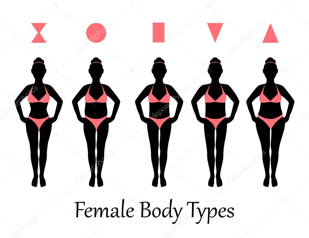 Different women s figures three female body types Vector Image