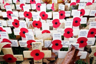 Anma Günü ekran Westminster Abbey