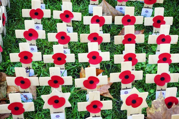 Remembrance day display in Westminster Abbey — Stock Photo, Image