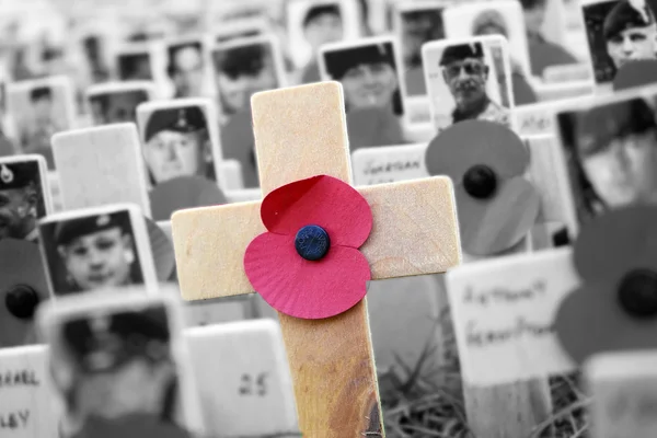 Poppy Cross, exibição do dia da lembrança — Fotografia de Stock