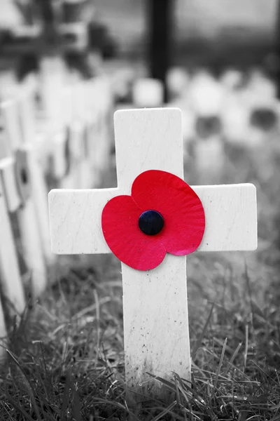 Poppy Cross, exibição do dia da lembrança — Fotografia de Stock