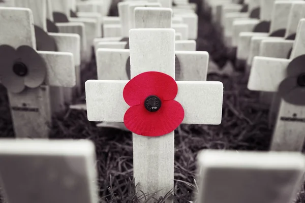 Poppy Cross, exibição do dia da lembrança — Fotografia de Stock