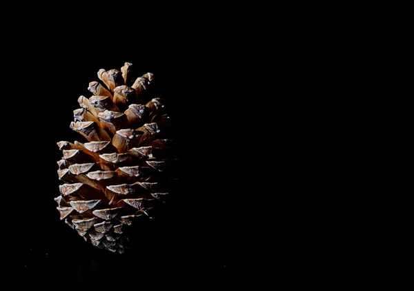 Cono di pino su sfondo nero decorazione di Natale — Foto Stock