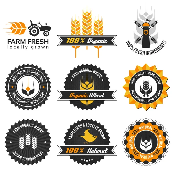 Tarwe productie label set — Stockvector