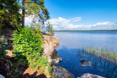 Monrepos Parkı sıcak bir yaz gününde. Mon Repos mezarlığının arazisi ve ailesi ile birlikte müze rezervi..