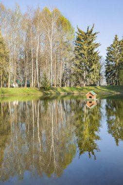 Güzel bahar manzarası. Mavi bulutsuz gökyüzünün yansıması ve ormanın sakin sularındaki ağaçlar.