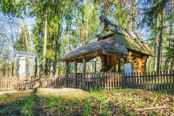 Abramtsevo国立历史 艺术和文学博物馆保护区 一个不同寻常的木制房子 巴巴亚加的房子 2021年5月 俄罗斯莫斯科地区Abramtsevo — 图库照片