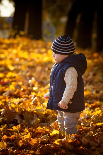 Kinderen en val — Stockfoto