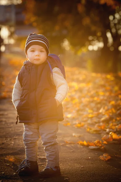 Bambini e autunno — Foto Stock