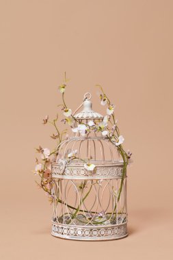 kafes, kuş, çiçek, esaret