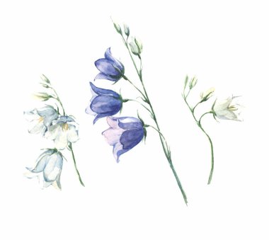 suluboya çiçekleri ayarla arka plan dağ çanı mavisi