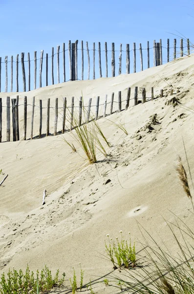 Fences on the beach — Stock Photo, Image