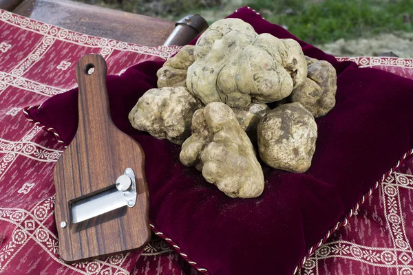 White truffles from Piedmont — Stock Photo, Image