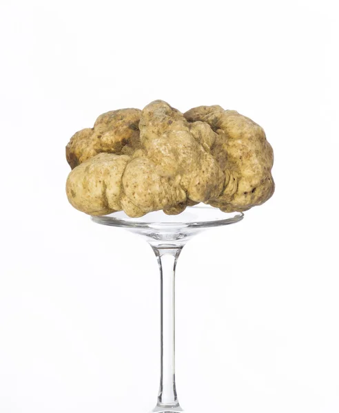 Still life of a truffle on a white background — Stock Photo, Image