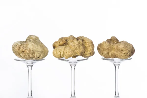 Still life of a truffles on a white background — Stock Photo, Image