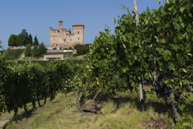 Langhe Unesco miras görünümünde yaz