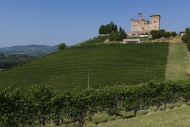 Langhe Unesco miras görünümünde yaz