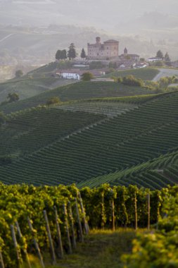 Langhe Unesco miras görünümünde yaz