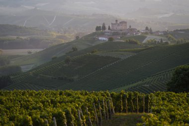 Langhe Unesco miras görünümünde yaz